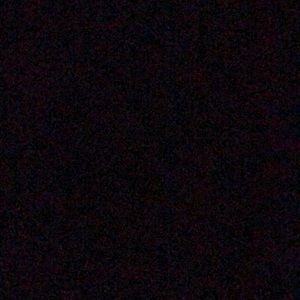 Meet your Posher, Darius